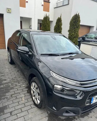 samochody osobowe Citroen C4 Cactus cena 48900 przebieg: 44500, rok produkcji 2019 z Września